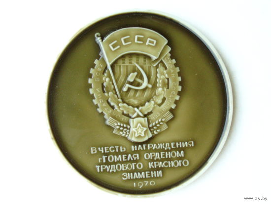 Медаль 1970 год Беларусь Гомель В честь награждения г.Гомеля орденом трудового красного знамени # M18