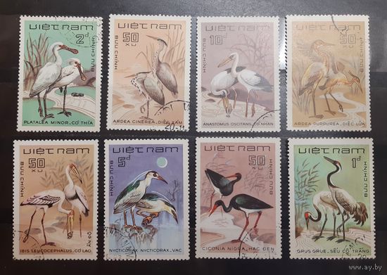 Вьетнам. Фауна. Птицы (405)