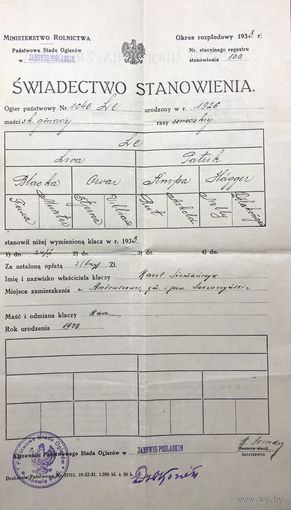 Swiadectwo stanowienia klaczy 1933 год