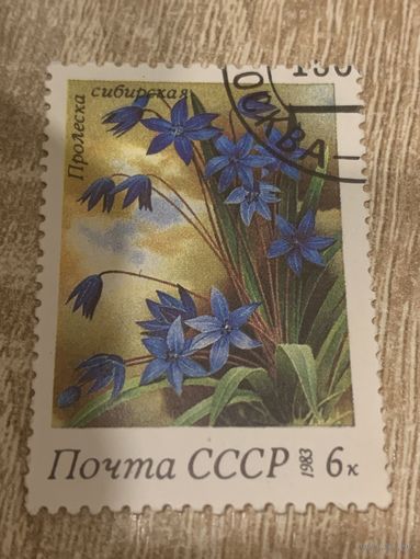СССР 1983. Пролеска Сибирская. Марка из серии