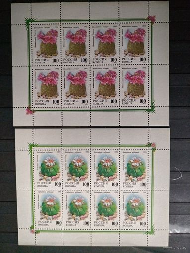 Россия 1994г. Кактусы малый листы.
