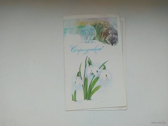Величина М. 1986г.