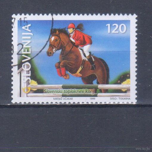 [228] Словения 1999. Спорт.Фауна.Лошадь. Гашеная марка.