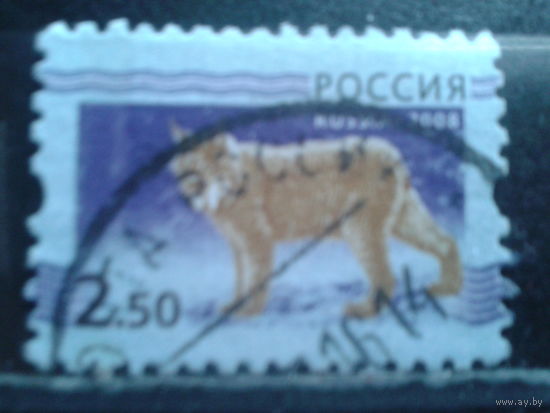 Россия 2008 Стандарт, рысь 2,5 руб