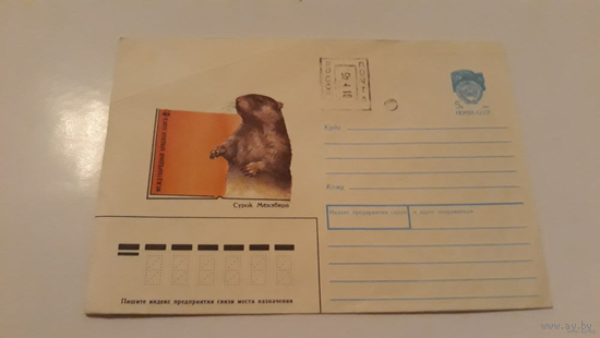 ХМК. СССР. Сурок Мензбира. А. Исаков 1990 почта провизорий Россия