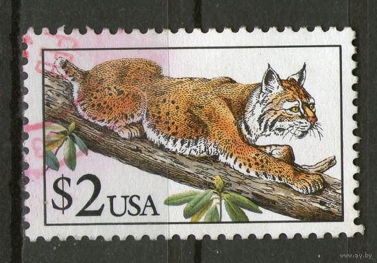 США. Гашеная. Лот- а 110