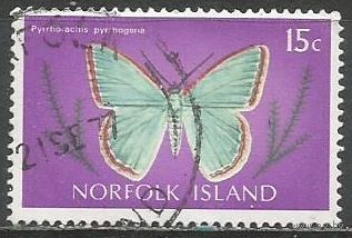 Норфолк. Бабочка Пяденица. 1976г. Mi#190.