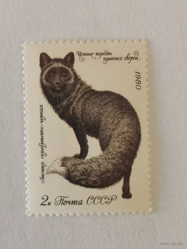 Марка из серии "Ценные породы пушных зверей" - Серебристо-черная лисица