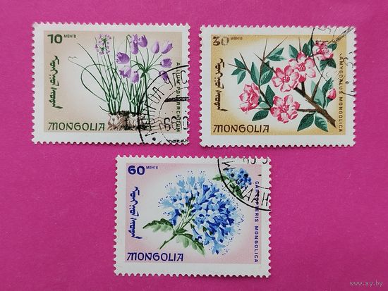 Монголия. Цветы. ( 3 марки ) 1966 года. 2-11.