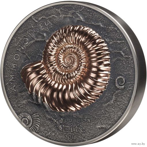 RARE Монголия 20000 тугриков 2018г. "Эволюция Жизни: Аммонит". Rose gilding. Монета в капсуле; подарочном футляре; номерной сертификат; номер монеты на гурте; коробка. СЕРЕБРО 1 кг.