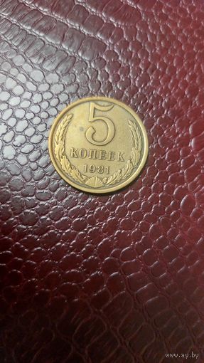 Монета 5 копеек 1981г. СССР. Хорошая!
