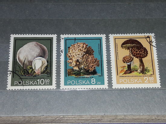 Польша 1980 Флора. Ядовитые грибы. 3 марки