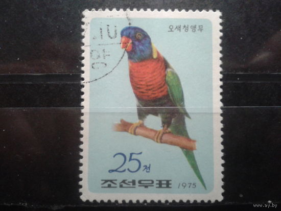 КНДР 1975 Попугай
