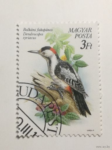 Венгрия 1990. Охраняемые Птицы