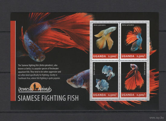 Уганда 2014** Сиамская бойцовая рыбка