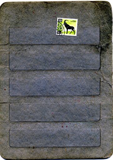 КЕНИЯ, фауна,  н гашен