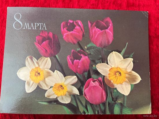 8 марта! Подписана. 1982 год. Б. Круцко.