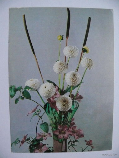 Суханов В.(фото), Композиция из цветов, 1983, чистая.