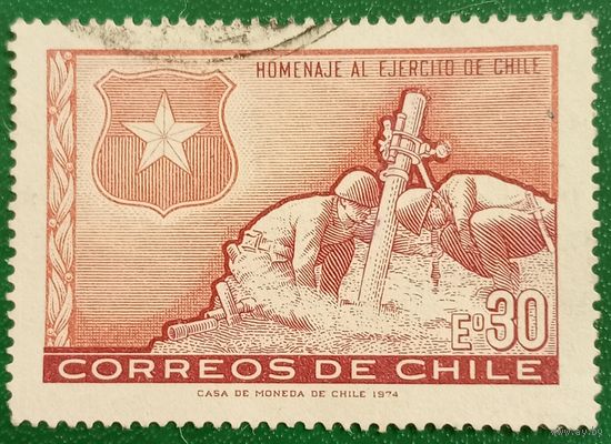 Чили 1974. Дань уважения армии Чили