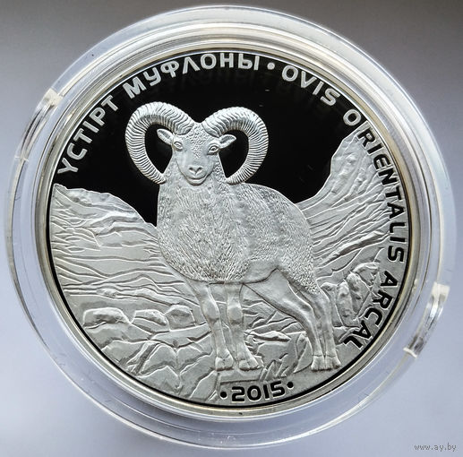 Ag925, 31.1 гр - Устюртский муфлон, 2015