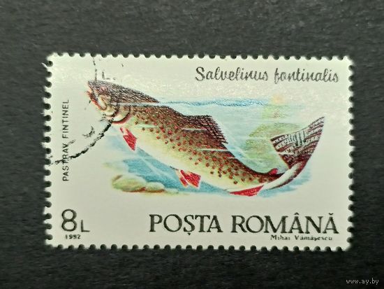 Румыния 1992. Рыбы. Американская палия