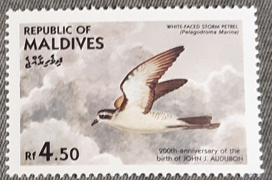 1985 - Белолицая кочурка  -Мальдивы