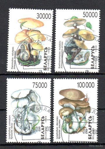 Грибы Беларусь 1999 год (341-344) серия из 4-х марок