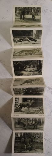 Рижский зоосад. 1950-е. Тир. 8 тыс.