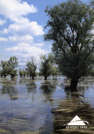 Календарик карманный Страхование Белгосстрах 2003