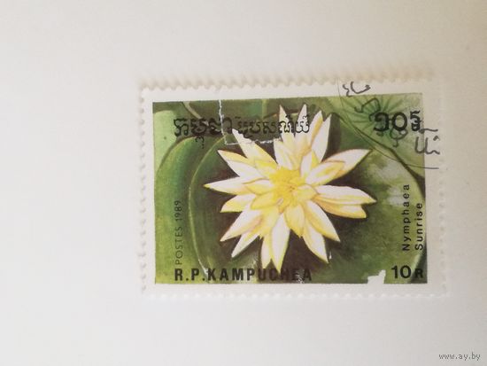 Камбоджа 1989. Цветы