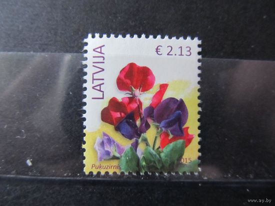 Латвия, 2015, цветы, флора