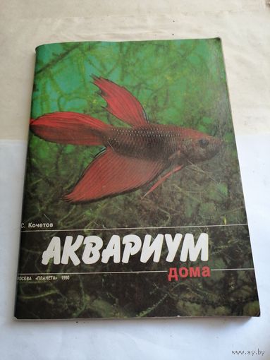 Аквариум дома.