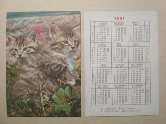 Карманный календарик. Котик. 1991 год