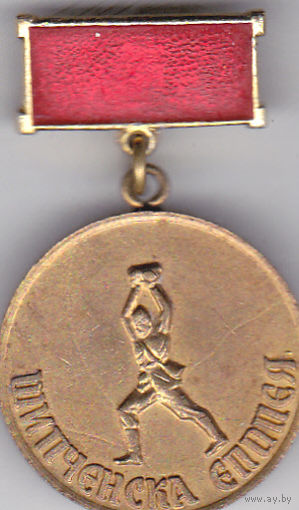 Шипченска епопея (Болгария; бои на Шипкинском перевале с турками, 1877).