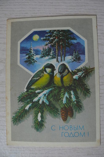 Куртенко Ю., С Новым годом! 1989, 1990, чистая, ДМПК (птицы, синица).