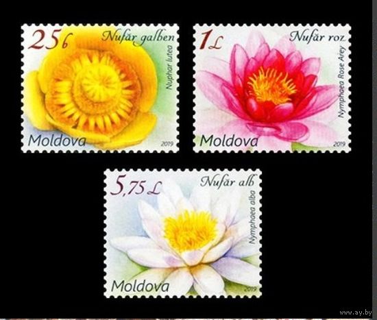 2019 Молдова 1098-1100 Стандарт. Флора. Цветы. Кувшинки **