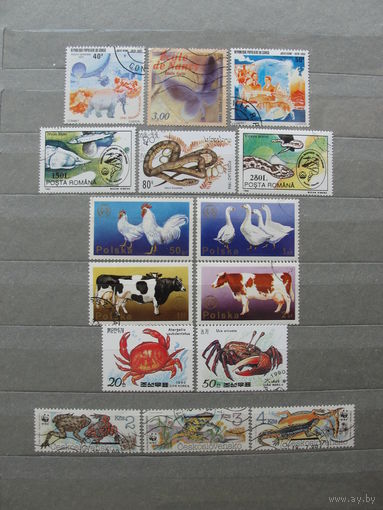 Продажа коллекции с 1 рубля! Фауна на почтовых марках мира.