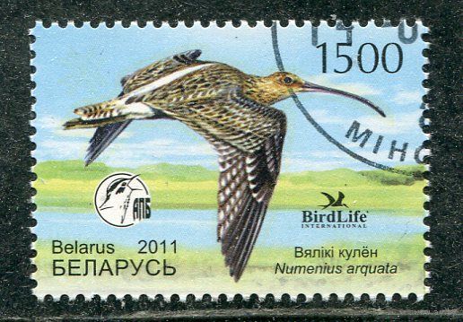 Беларусь 2011.. Птица года. Кроншнеп