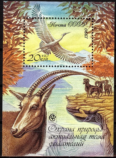 Охрана природы