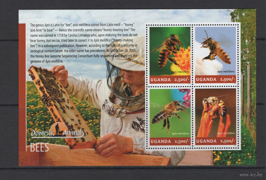 Уганда 2014** Пчелы