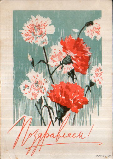 Подписанная открытка 1968г. "Поздравляем! Гвоздики" худ. Р. Житков