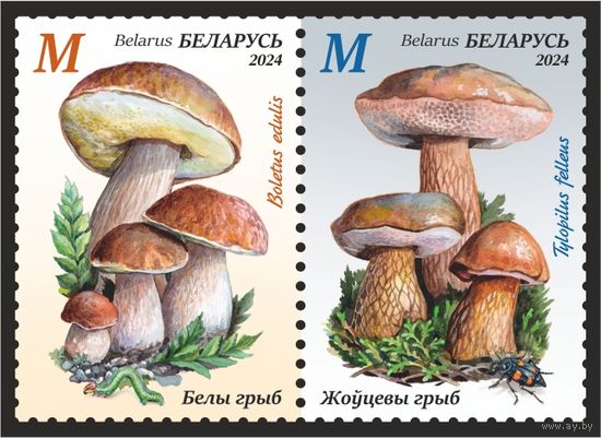 2024г Беларусь MNH  СЦЕПКА "Грибы-двойники"