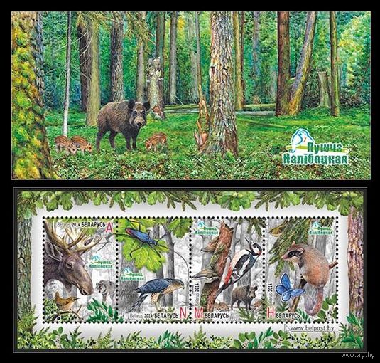 БЕЛАРУСЬ 2014 ПТИЦЫ ФАУНА Naliboki Pushcha Cцепка из четырех марок на тему Налибокская пуща **