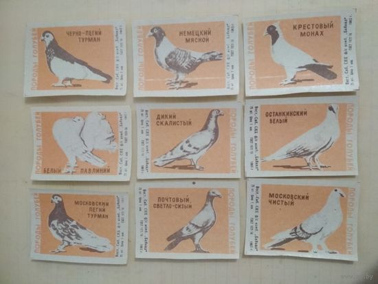 Спичечные этикетки ф.Байкал. Породы голубей. 1965 год