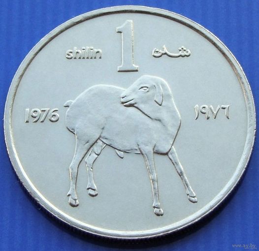 Сомали. 1 шиллинг 1976 год  KM#27  "Ягненок"  Нечастая!!!  Тираж: 20.040.000 шт