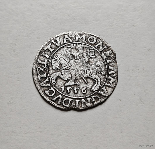 Полугрош 1556 г. Сигизмунд II Август, Вильно, лот рп-4,8
