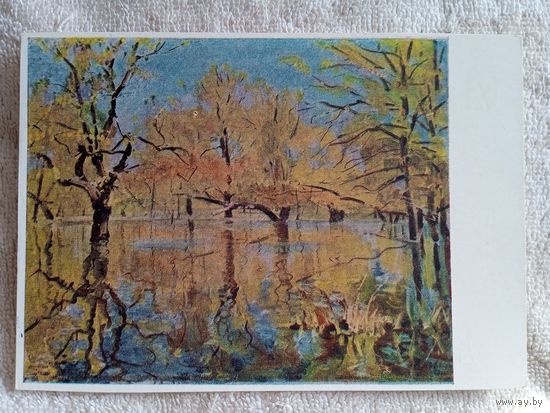 1958. Шовкуненко. Разлив. Конча-Заспа