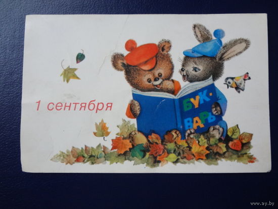 1 сентября.  1978 г.  Зайка, Мишка, букварь.