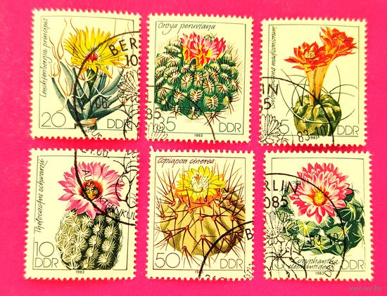 ГДР. Кактусы. ( 6 марок ) 1983 года. 1-3.