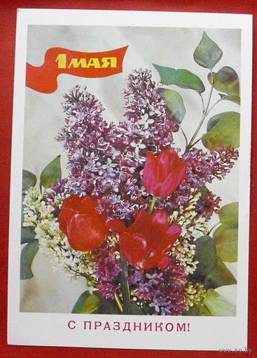 1 Мая! Чистая. 1984 года. Дергилев. * 285.